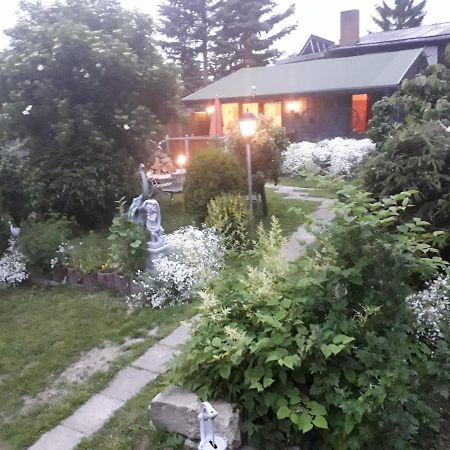 Ferienhaus Schulenberg Friedrichsbrunn Exterior foto